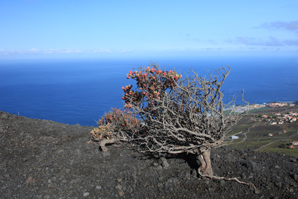 Vulkaan San Antonio op La Palma